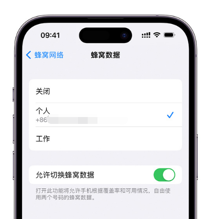 鼎湖苹果维修服务分享如何在iPhone上使用双卡 